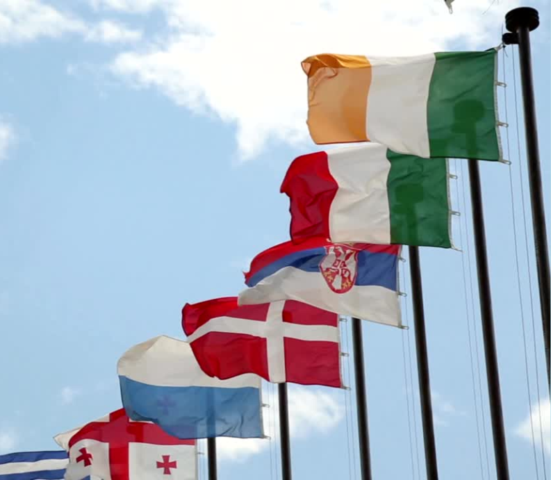 International Procurement